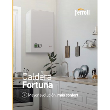 Caldera F24 Ferroli